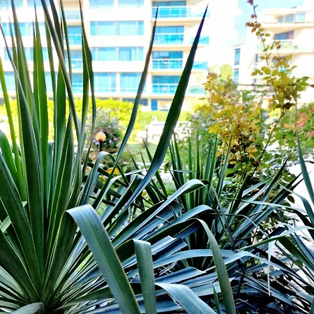 Appartamento Immaculate 1-bed In Sunny *